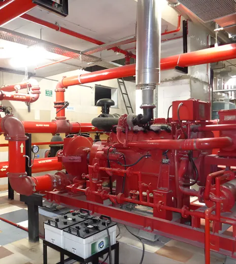 sexumnzxepx8ownngeyl